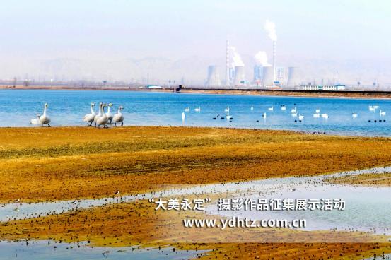 ���������������B(t��i)�ޏ�(f��)�٬F(xi��n)�B(ni��o)�(l��i)��(l��)�@