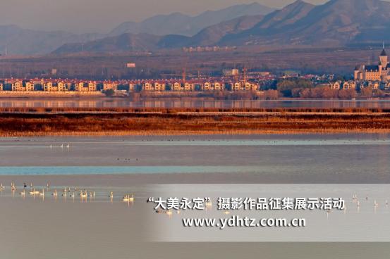 ���������������B(t��i)�ޏ�(f��)�٬F(xi��n)�B(ni��o)�(l��i)��(l��)�@