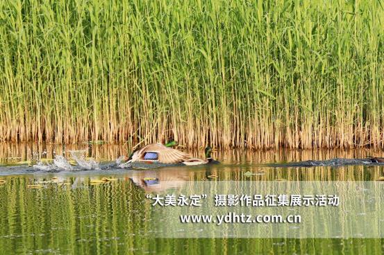 ���������������B(t��i)�ޏ�(f��)�٬F(xi��n)�B(ni��o)�(l��i)��(l��)�@