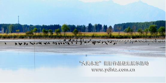 ���������������B(t��i)�ޏ�(f��)�٬F(xi��n)�B(ni��o)�(l��i)��(l��)�@