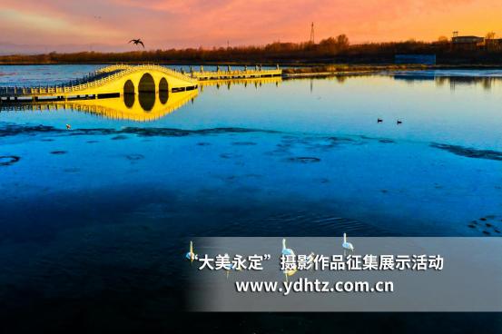 ���������������B(t��i)�ޏ�(f��)�٬F(xi��n)�B(ni��o)�(l��i)��(l��)�@