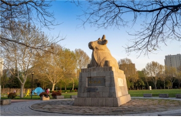 �A�����������_�������ǻۡ�ţ�ǡ�