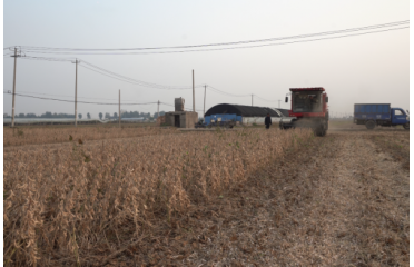 ޻�ǅ^(q��)�r(n��ng)�I(y��)�r(n��ng)��������r(n��ng)��ƌW(xu��)�Nֲ������푡�����38���S�𶹷N��Ʒ��