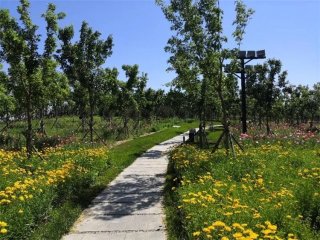 ���@ô�ᣬȥ����˛���������Ȼ���@ô�����M��ȥ̎��