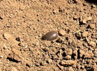 �A���@��˯�����ɏ���ͻʢ�_