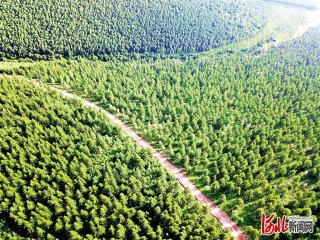 ̼�R���ס��c�G�ɽ� �����S��ǧ�ɉ��ֈ����O(sh��)̼�R�����r(n��ng)����̽