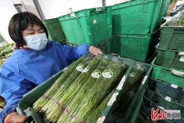 �ӱ����ȫ�����ϱ����Ј��r(n��ng)���a(ch��n)Ʒ����(y��ng)