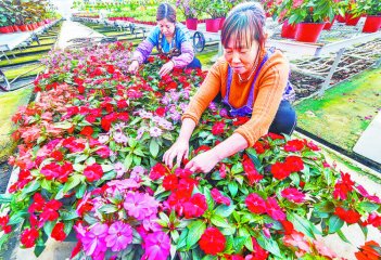 ���ݣ�����l(xi��ng)�����d��