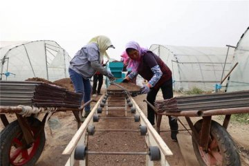 ��ɽ�S�ϣ�����ˮ������æ