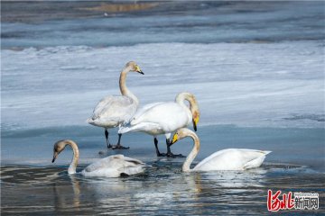 �е�ƽ�h�Ӵ����B(t��i)�h(hu��n)���������O(sh��)�˾��Ҹ��҈@