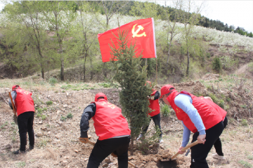 �е���(ch��ng)�ĵ����l(xi��ng)�_(k��i)չ���W(xu��)�hʷ �k��(sh��)�¡��x��(w��)ֲ�����}�h�ջ��(d��ng)