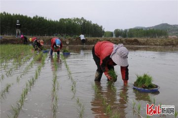 �е�¡�����������æ