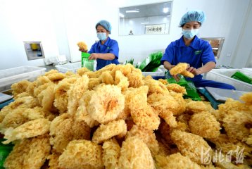 �ӱ����ݣ��r(n��ng)�a(ch��n)Ʒ�a(ch��n)�I(y��)� �����r(n��ng)�I(y��)��n����(j��)