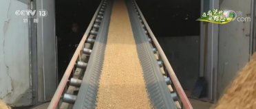 ���(gu��)���Z���� | ���ڙC(j��)��(g��u)��벢�e �������Օr(sh��)��(ji��)�����X�ռZ���w��