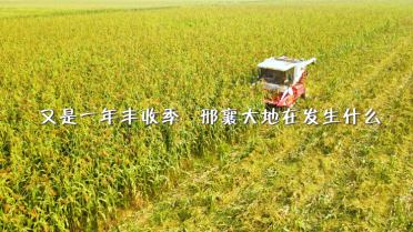 ���_(t��i)���S�����箋 �ˡ��S������