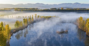 Ԋ���Ї�������ɫ�B�������Ϻ�����