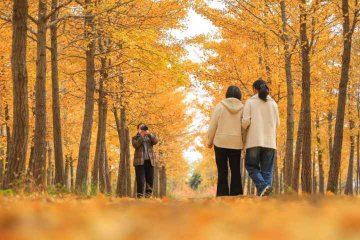 �ӱ�ɳ�ӣ��f���y�ӡ�ʢ�b��ӭ��