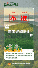 ��������ɭ�ֻ������ʮ���ʡ�Ҫ��ӛ��