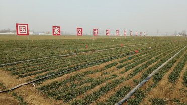 �ӱ�С����m(x��)�M(j��n)�뷵���� ���������(l��i)���ˮƽ