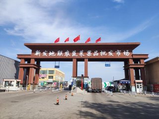 �����°l(f��)��(li��n)�r(n��ng)���l(f��)�Ј�(ch��ng)����(qi��ng)����(w��)��(y��u)�h(hu��n)�� �к�Ⱥ�����˻@�ӡ�