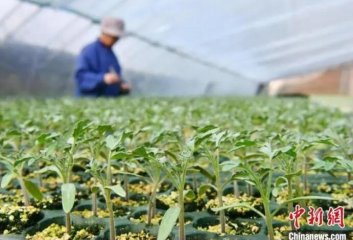 �Ƽ����������ӱ��C��ӆ������æ